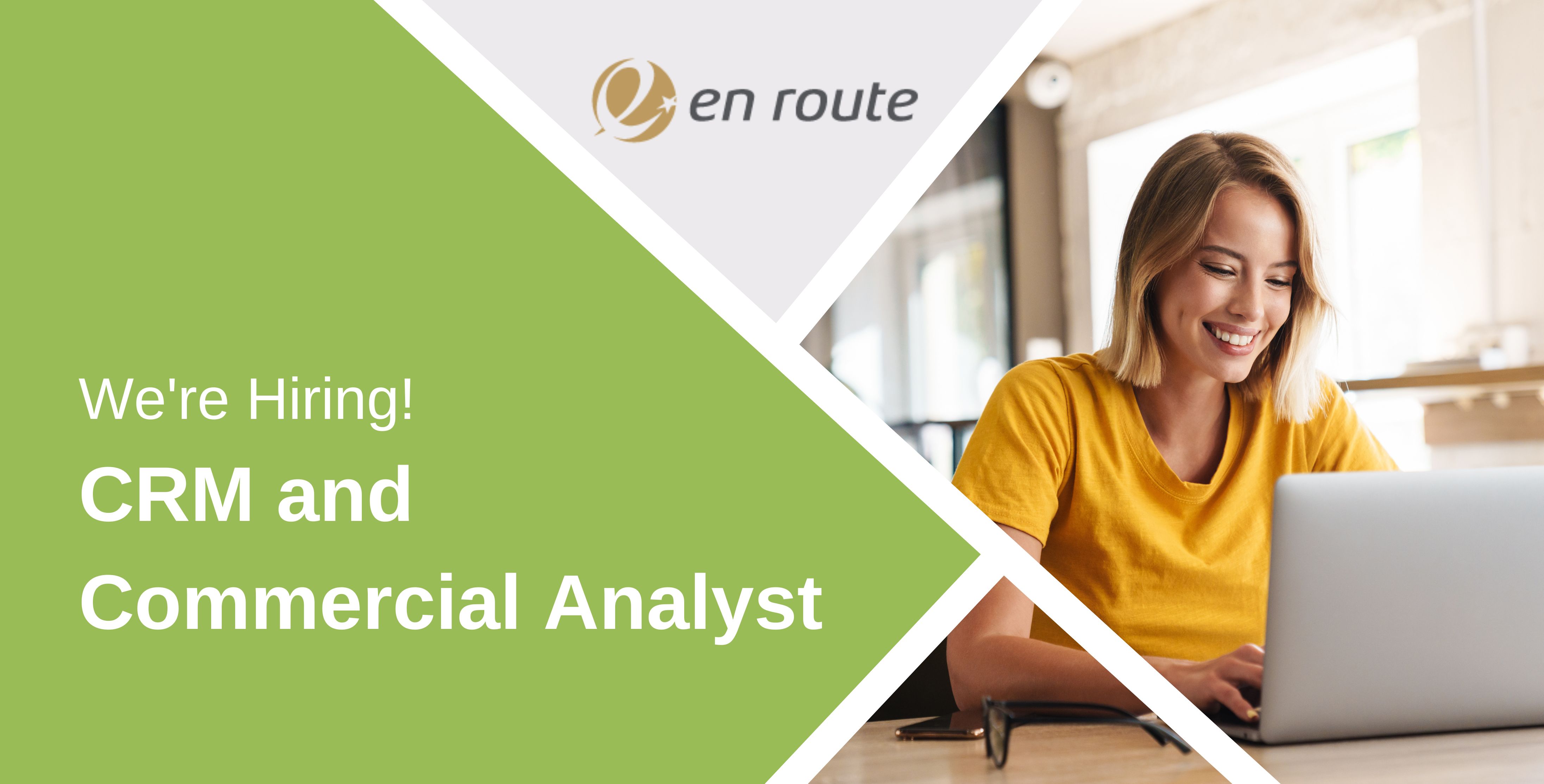CRM and Commercial  Analyst